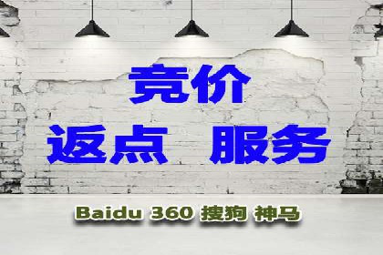 探索SEM竞价代运营公司的服务模式与市场趋势